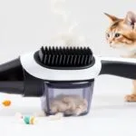 brosse aspirante pour chat