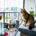 protection de balcon pour chat