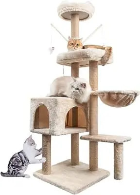 arbre à chat