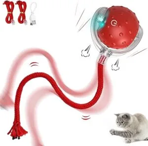 meilleurs jouets interactifs pour chats