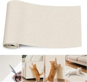 griffoirs pour chats