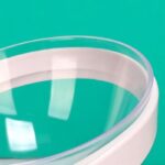 Gamelle ergonomique pour chat | Bol antidérapant & design – Image 5