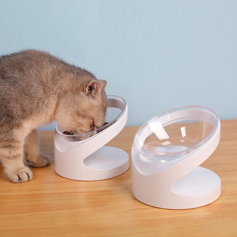 Gamelle ergonomique pour chat