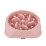 gamelle anti glouton pour chat