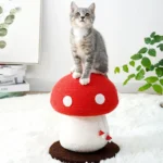 Griffoir champignon pour chat