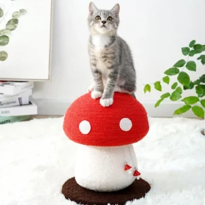 Griffoir champignon pour chat