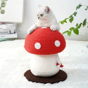 griffoir champignon pour chat