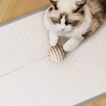 Griffoir pour Chat en Sisal Naturel | Protège Meubles & Détend Votre Chat – Image 4