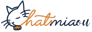 chatmiaou logo