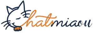 chatmiaou logo