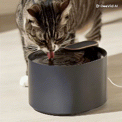 fontaine à eau pour chat