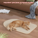 griffoir pour chat en sisal